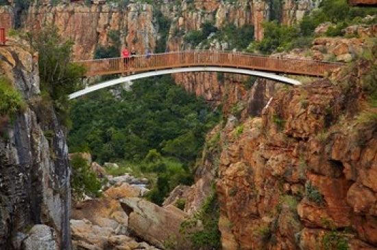 Footbridge Over Blyde River Poster Print by David Wall showcasing Blyde River Canyon in South Africa.