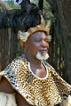 Zulu Tribe Chief Poster Print showcasing South African culture by Jim Engelbrecht