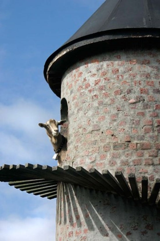 Fairview Winery Goat Tower art print by Julien McRoberts, showcasing picturesque architecture in Paarl, South Africa.