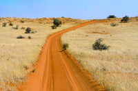 Red Sand Road in Kgalagadi Transfrontier Park poster print