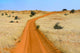 Red Sand Road in Kgalagadi Transfrontier Park poster print
