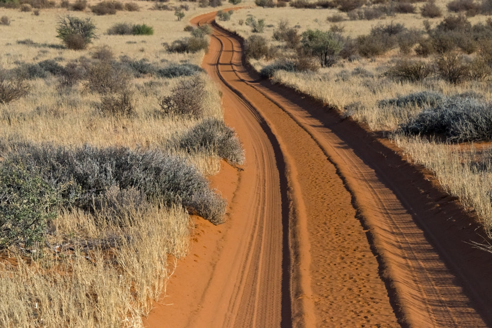 Red Sand Road in Kgalagadi Transfrontier Park Poster Print by Keren Su.