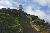 Lighthouse at Cape Point poster print by Keren Su showcasing stunning coastal landscape.