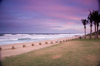 Beaches at Ansteys Beach poster print showcasing the Durban coastline