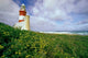 Cape Agulhas Lighthouse Poster Print by Michele Benoy Westmorland
