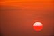 Sunset Over Serengeti National Park Poster Print by Adam Jones