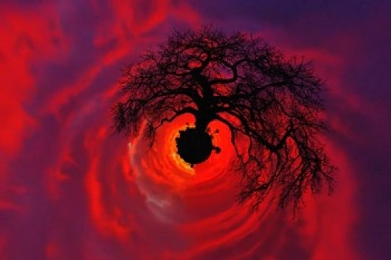 African Baobab Tree Silhouette at Sunset Poster Print by Adam Jones
