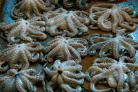 Tanzania Zanzibar Stone Town Darajani Market Octopus Poster Print by Alison Jones