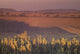 Landscape view of Serengeti National Park poster print by Art Wolfe.
