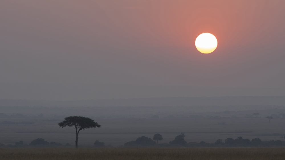 Savannah at Sunset in Ngorongoro Conservation Area Poster Print