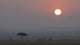 Savannah at Sunset in Ngorongoro Conservation Area Poster Print