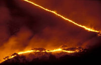Forest Fire Poster Print from Gombe National Park, Tanzania by Kristin Mosher