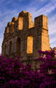 Ancient Roman Amphitheater with Flowers in El Jem, Tunisia - Poster Print by Bill Bachmann