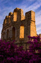 Ancient Roman Amphitheater with flowers in El Jem, Tunisia poster print.