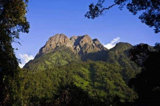 Portal Peaks in the Rwenzori, Uganda Poster Print by Martin Zwick