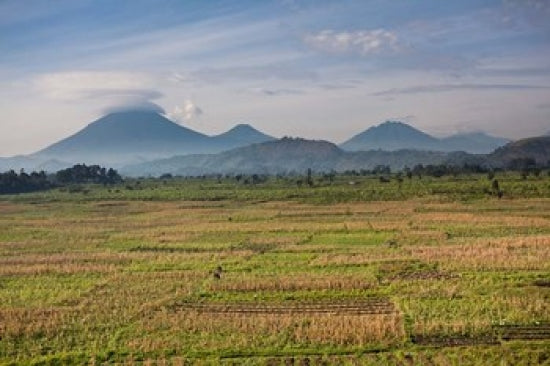 Farmland Around Kisoro, Kigezi Africa Poster Print by Martin Zwick