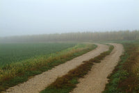 Rural Lane Through Foggy Farm Field Poster Print by Gayle Harper