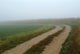 Rural Lane Through Foggy Farm Field Poster Print by Gayle Harper