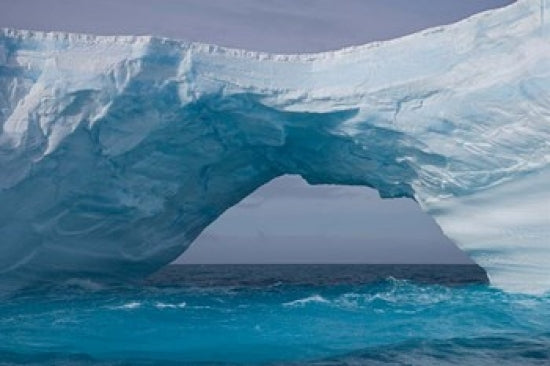 South Georgia Island Iris Bay Ice Bridge Poster Print by Jaynes Gallery