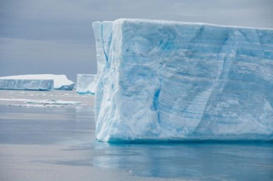 Antarctica Tabular Icebergs Poster Print by Cindy Miller Hopkins