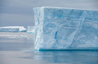Antarctica Tabular Icebergs Poster Print by Cindy Miller Hopkins