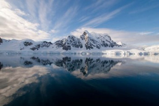 Antarctica Paradise Harbour and Bay Poster Print by Cindy Miller Hopkins