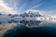 Antarctica Paradise Harbour and Bay Poster Print by Cindy Miller Hopkins