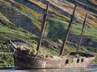 Wreck of the Bayard in Ocean Harbor Poster Print by Martin Zwick