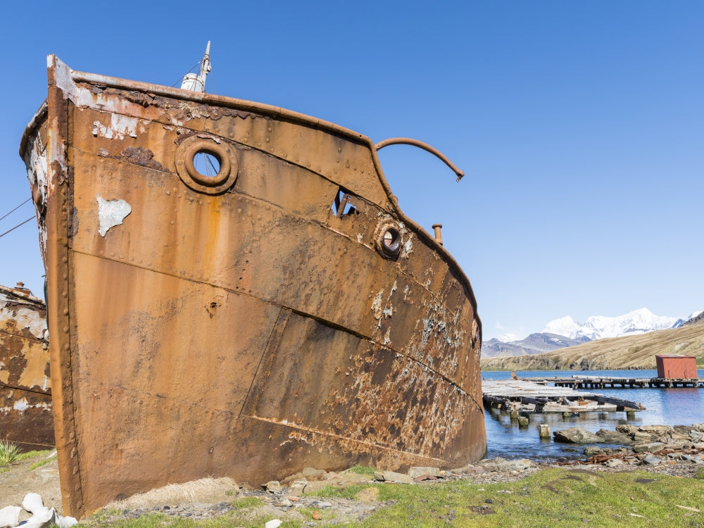 Wreck of the Dias Poster Print by Martin Zwick featuring Grytviken Whaling Station