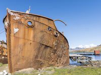 Wreck of the Dias Poster Print by Martin Zwick featuring Grytviken Whaling Station
