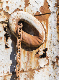 Anchor Chain of the Dias Wreck at Grytviken Whaling Station Poster Print