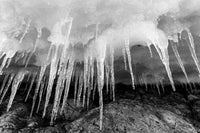 Icicles hanging from an ice roof on Cuverville Island, Antarctica poster print by Paul Souders.