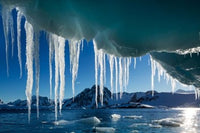 Icicle hanging from a melting iceberg in Antarctica by Paul Souders.