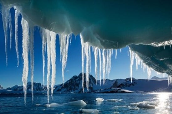 Icicle hanging from melting iceberg in Antarctica - Poster Print by Paul Souders