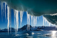 Icicle hanging from melting iceberg in Antarctica - Poster Print by Paul Souders