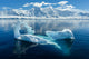 Antarctica Glacial Ice and Mountains Poster Print by Yuri Choufour