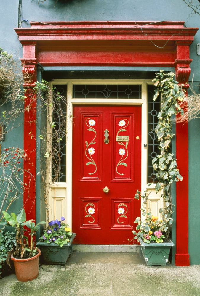 Red Door with Painted Daisies Poster Print by Tom Haseltine
