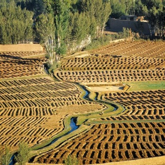 Afghanistan Bamian Valley Farmland and Irrigation Poster Print