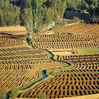 Afghanistan Bamian Valley Farmland and Irrigation Poster Print