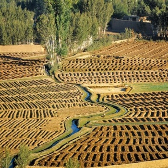 Afghanistan Bamian Valley Farmland and Irrigation Poster Print by Ric Ergenbright
