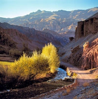 Bamian Valley Dirt Road and Stream Poster Print by Ric Ergenbright