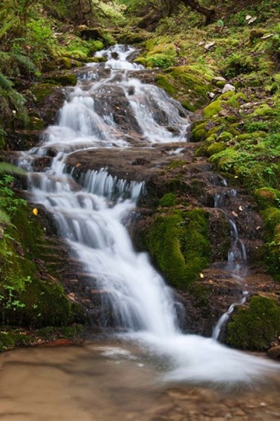 Waterfall, Bhutan Poster Print by Jaynes Gallery capturing a serene landscape.