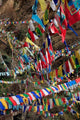 Prayer Flags in Thimphu, Bhutan Poster Print by Kymri Wilt