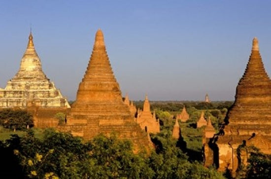 Temples of Bagan Surrounded by Trees Art Print by Inger Hogstrom
