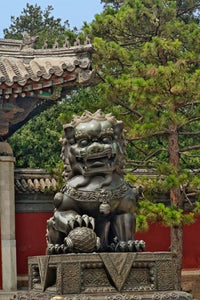 Lion Statue at the Forbidden City Poster Print showcasing intricate details.