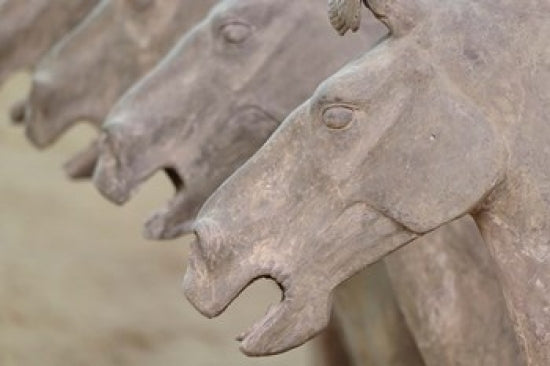 Qin Terra Cotta Warriors and Horses Poster Print by Adam Jones showcasing ancient Chinese art.