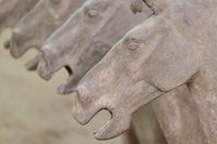 Qin Terra Cotta Warriors and Horses Poster Print by Adam Jones showcasing ancient Chinese art.