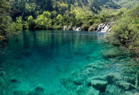 Shuzheng Lake Poster Print by Charles Crust - Jiuzhaigou National Scenic Area