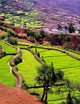 Rice Terraces at Jiayin Village, Honghe, Yunnan, China Poster Print