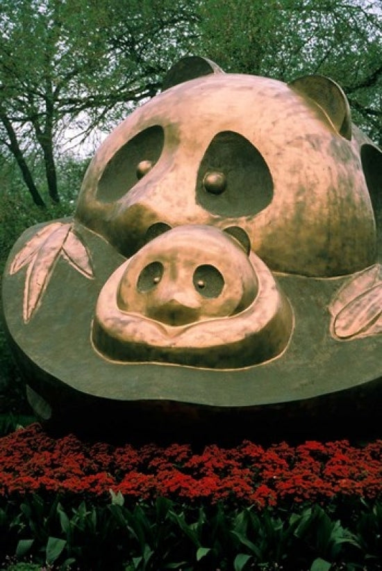 Giant Panda Bear Poster Print from Chengdu Sanctuary by Cindy Miller Hopkins